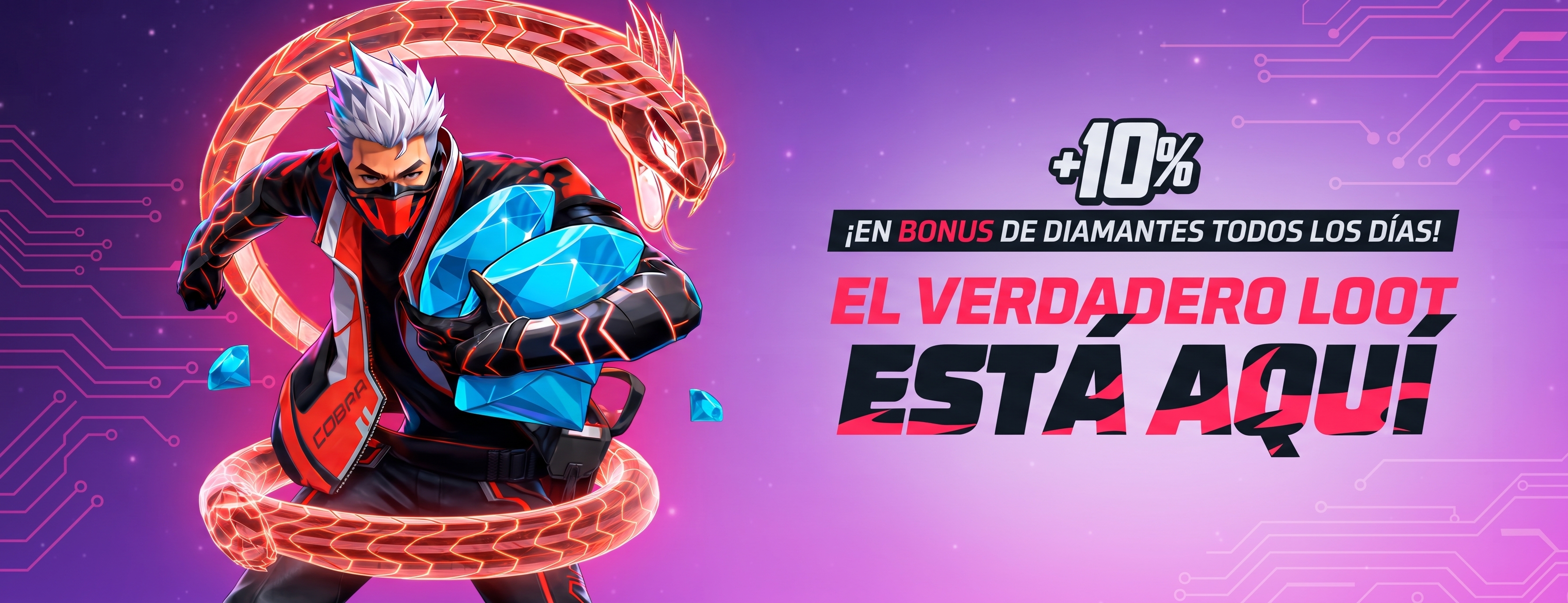 Banner FF 2